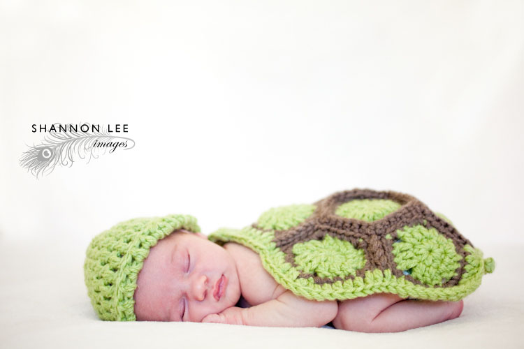 newborn turtle photography session