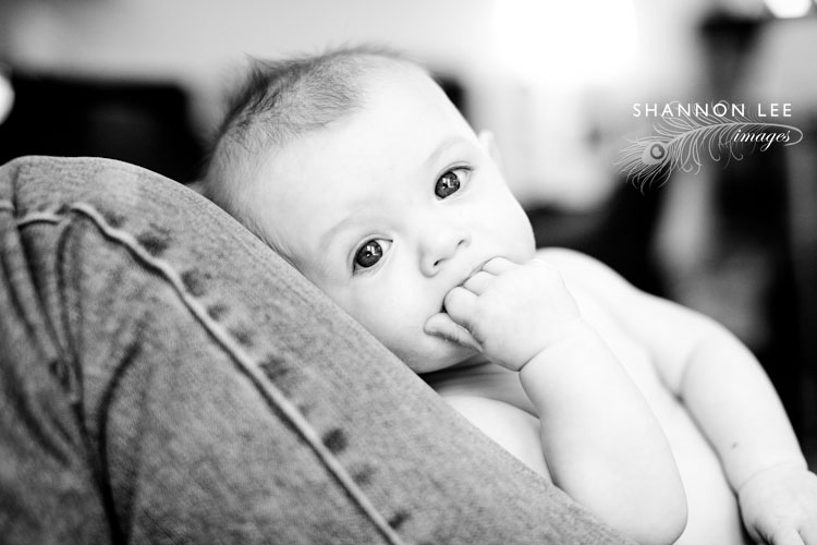 st louis family photographer