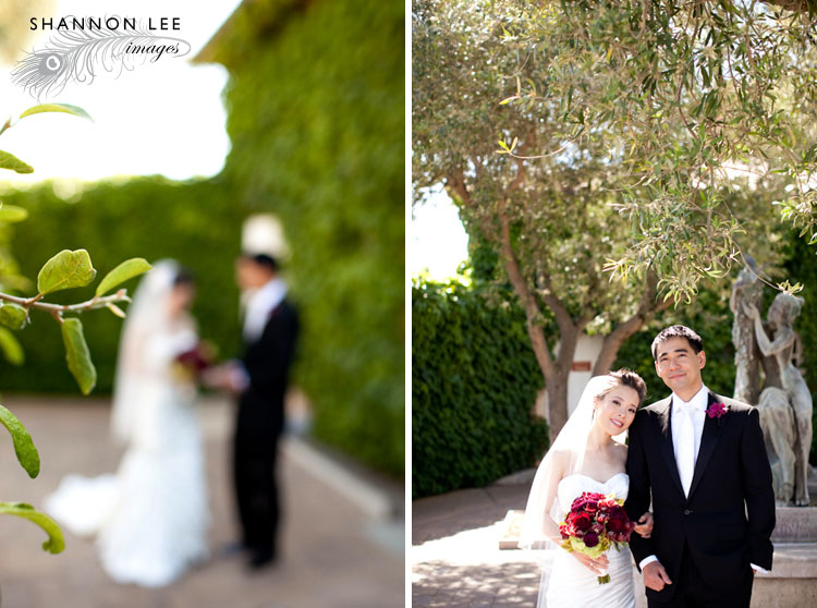 napa wedding photographer