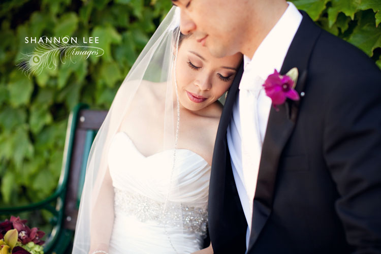 sonoma wedding photographer