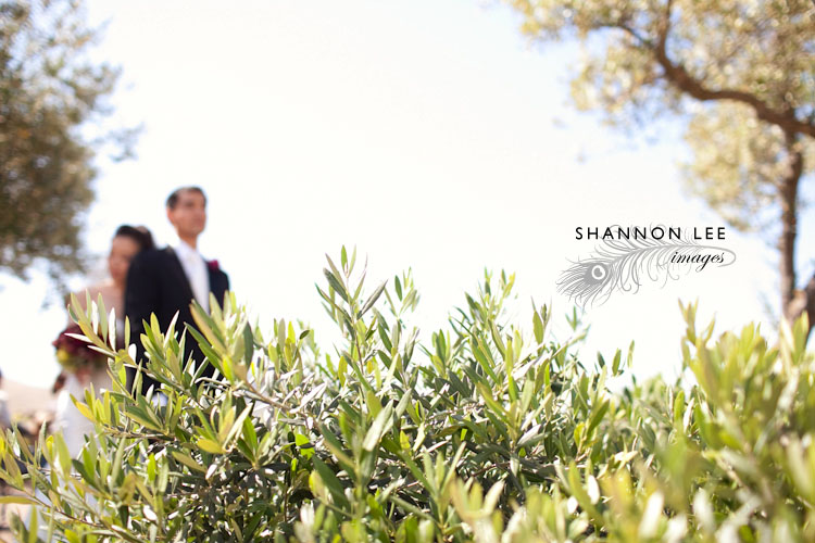 viasna wedding photographer