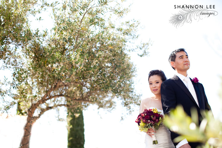 viasna wedding photographer