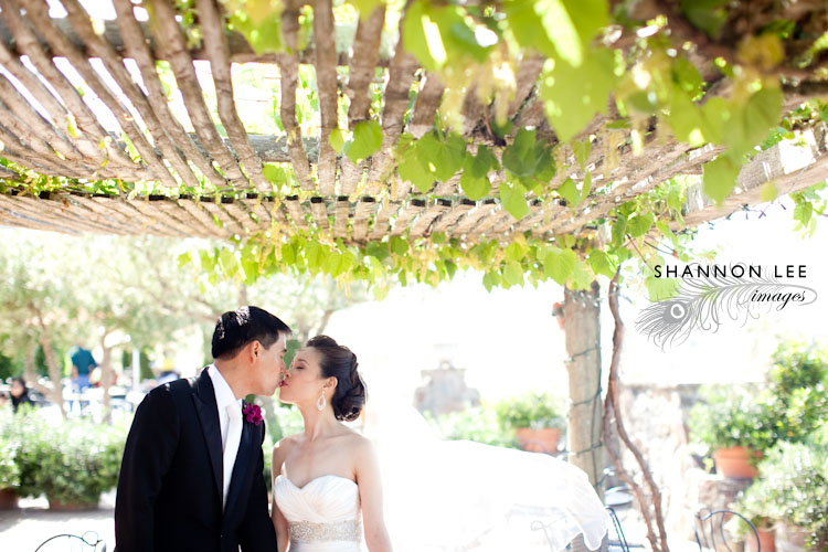 viasna sonoma wedding photographer
