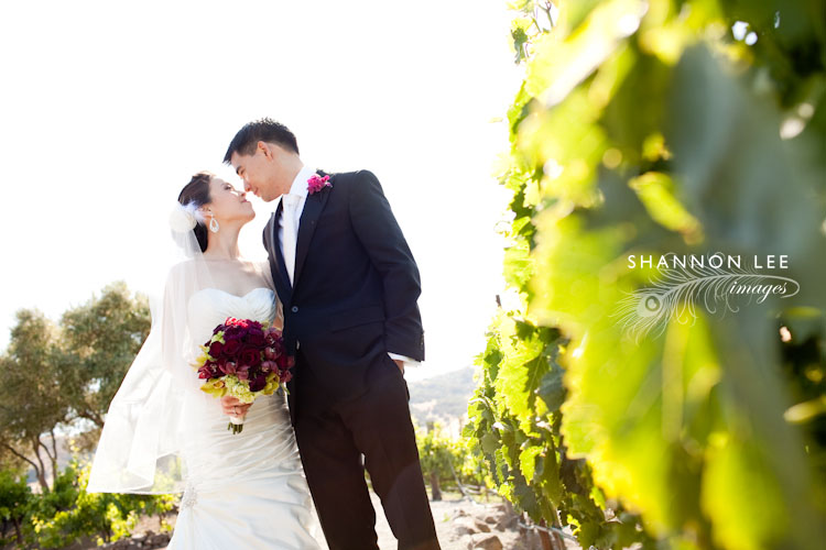 viasna sonoma wedding photographer