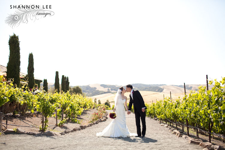 viasna sonoma wedding photographer