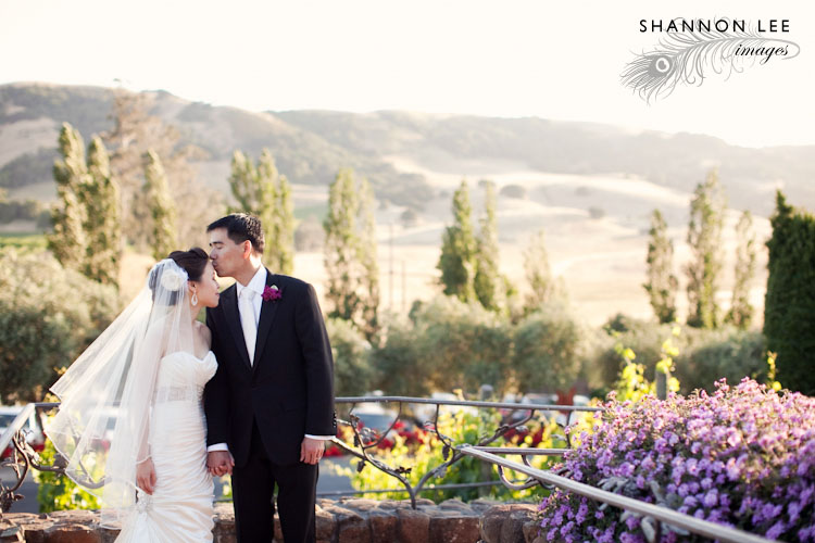 sonoma wedding photographer