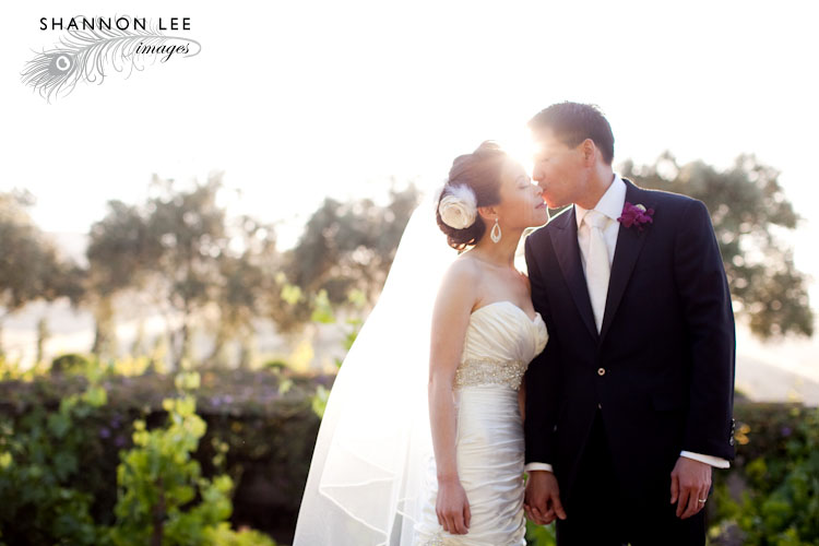 wedding photographer sonoma