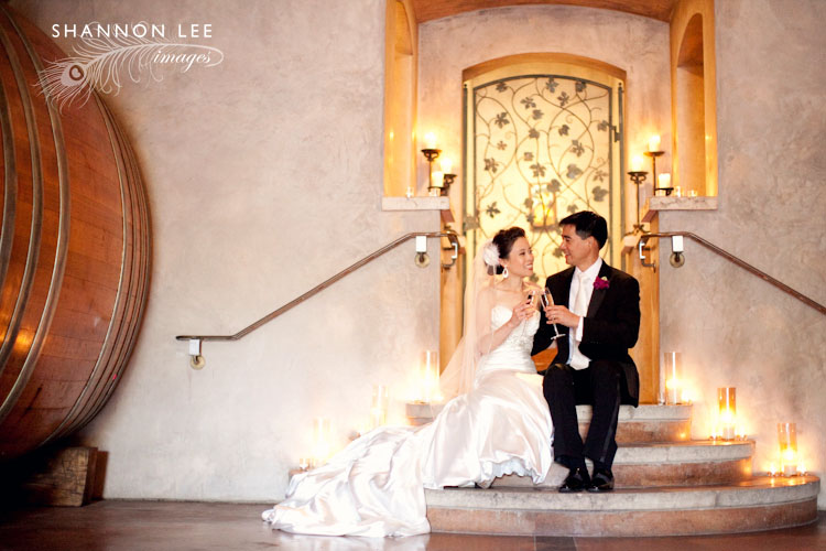 wedding photographer viasna