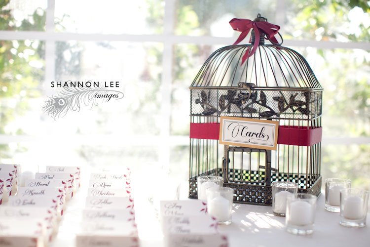 wedding photographer viasna