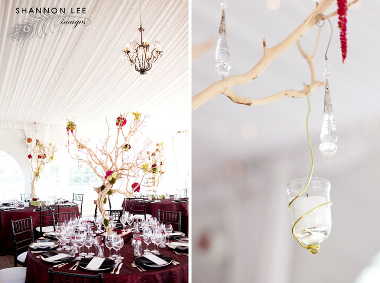 sonoma wedding details