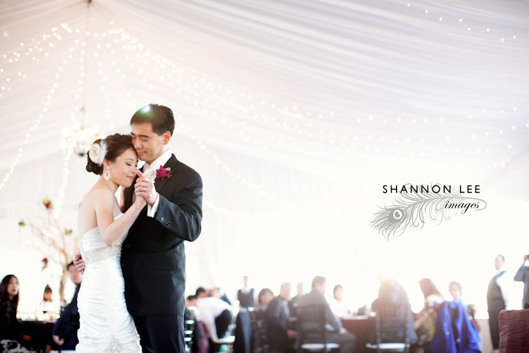sonoma wedding photography