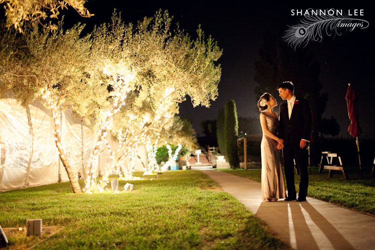 best wedding photographer napa