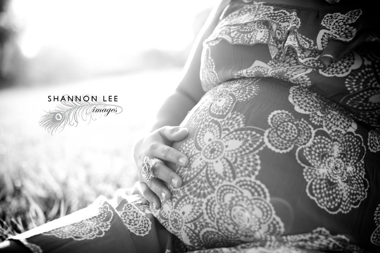 st louis pregnancy photographer