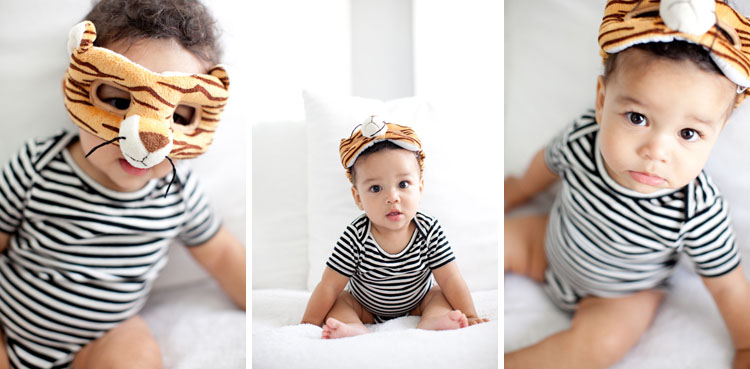zebra baby