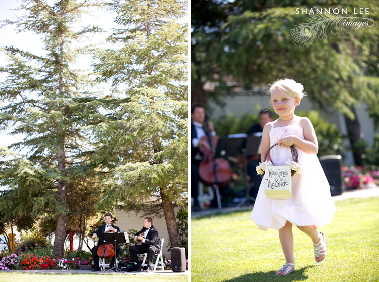 strawberry farms wedding ceremony