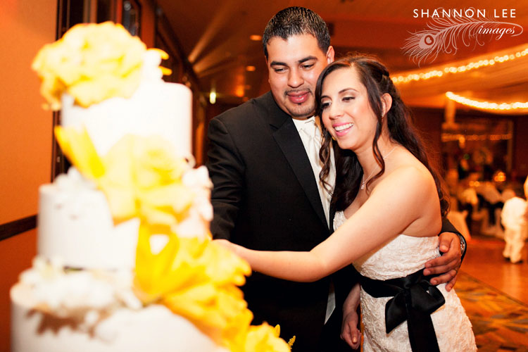 cake cutting wedding
