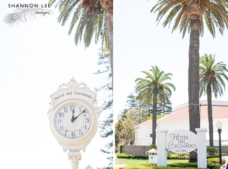 hotel del coronado photographer