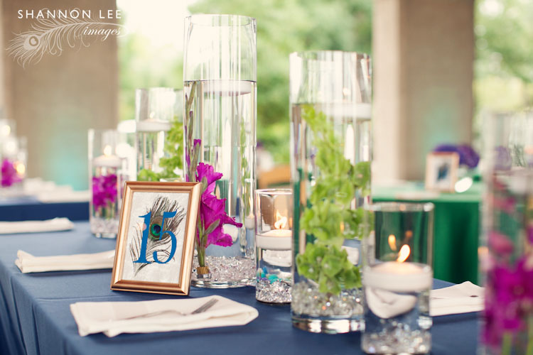 peacock feather wedding decor