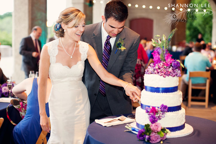 cake cutting