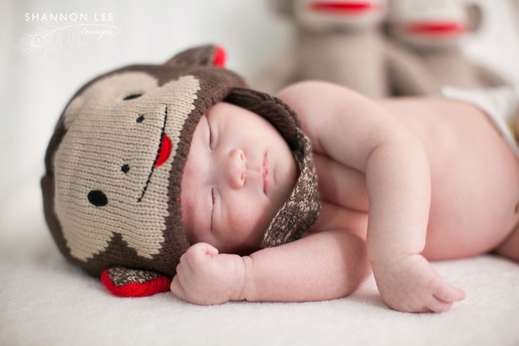 newborn monkey