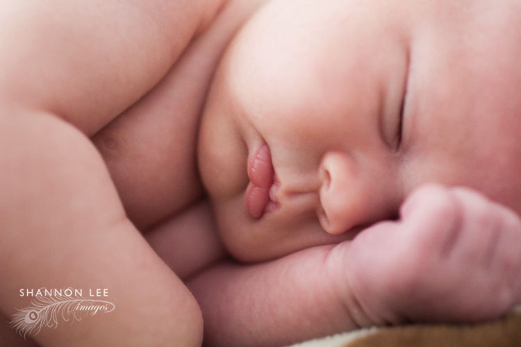 st louis newborn photographer