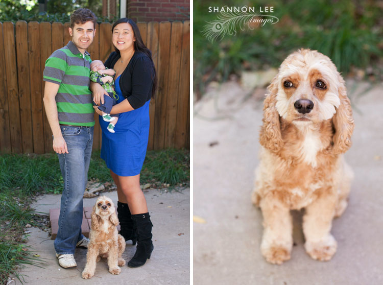 burbank newborn photographer