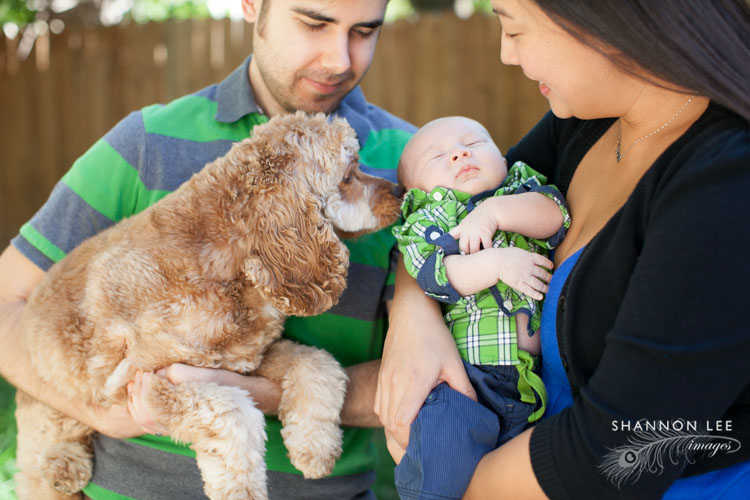 los angeles newborn photographer