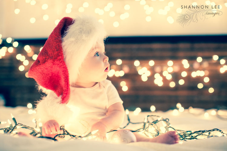 los angeles christmas photographer