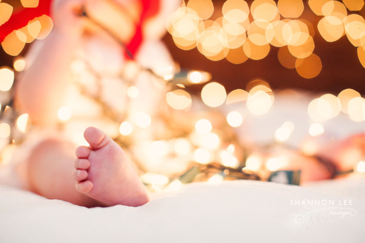 los angeles holiday photographer