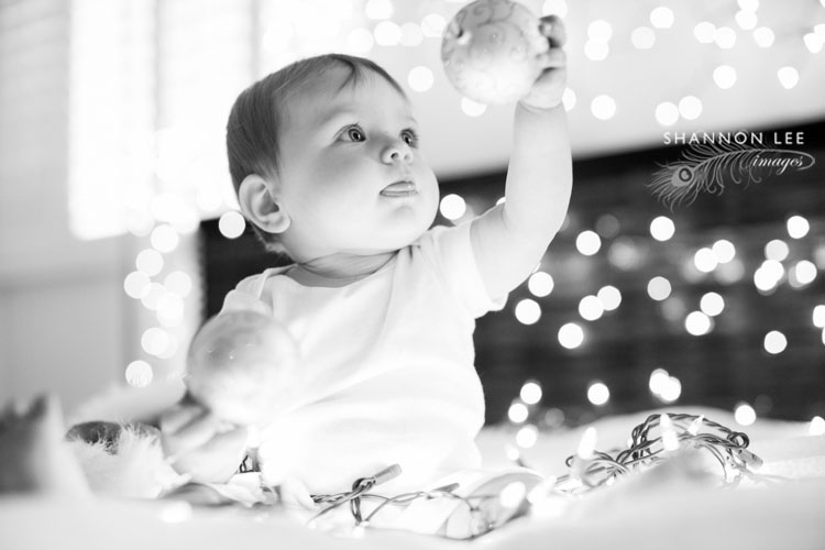holiday baby photographer burbank