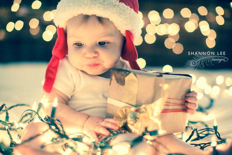 holiday photography session los angeles