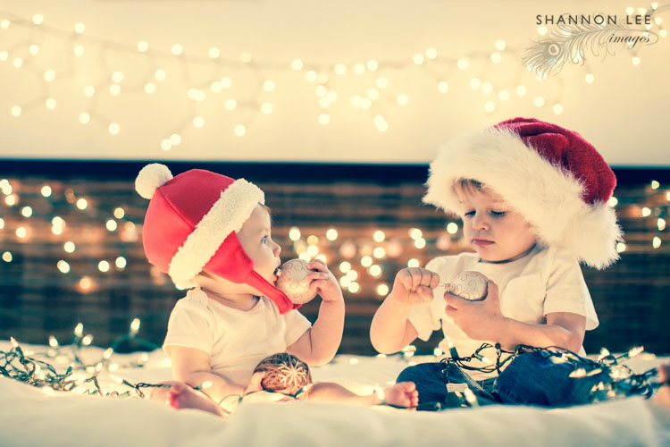 holiday photographer los angeles