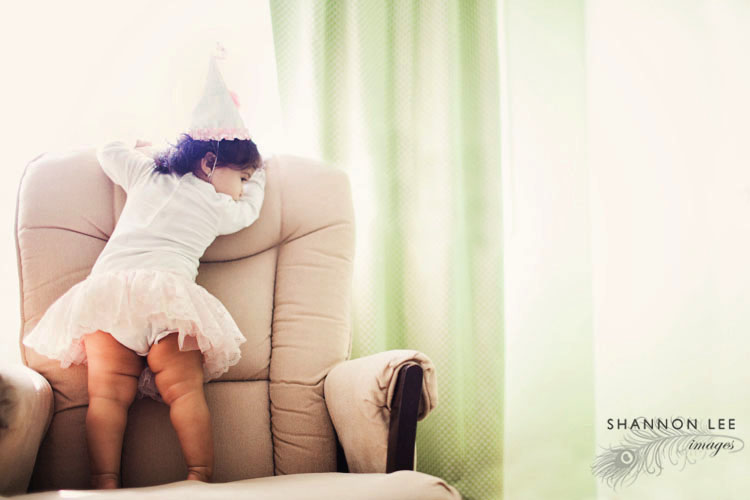 one year birthday session