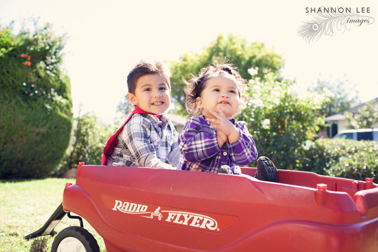 radio flyer wagon