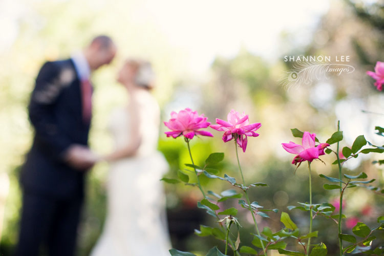charleston wedding photography