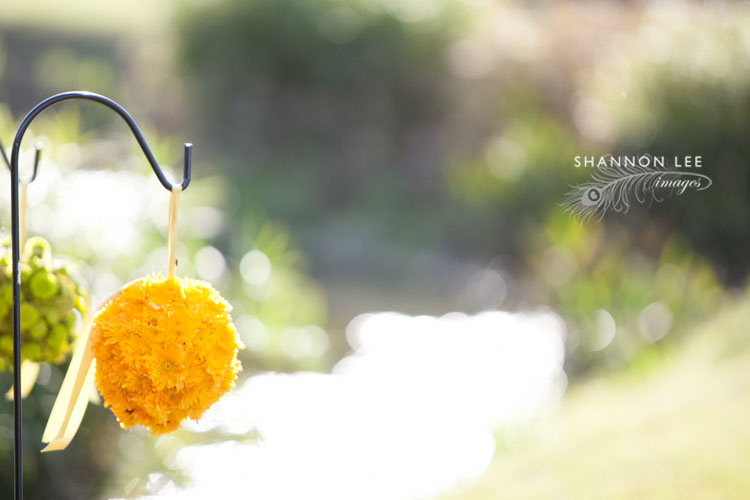 pieces of april wedding photographer