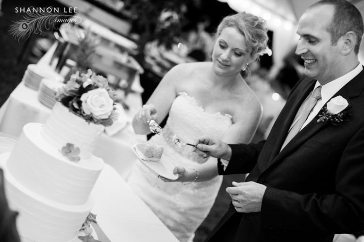 fork cake cutting