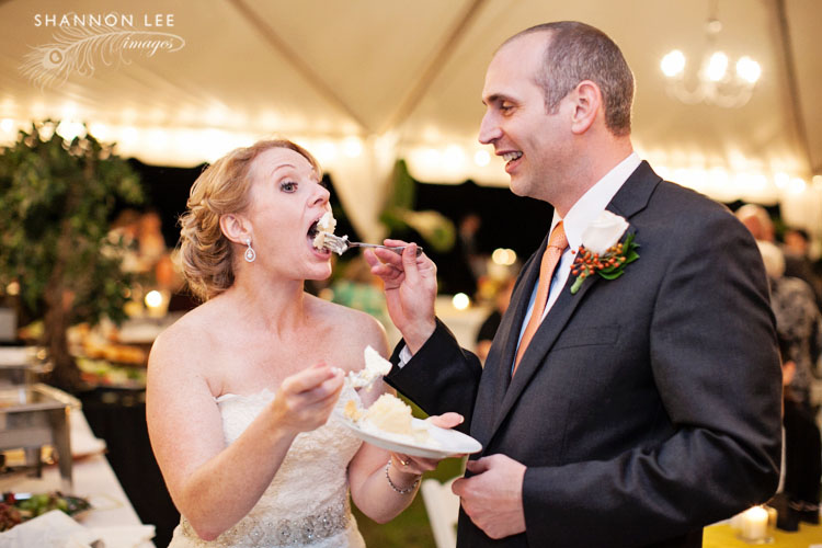 cake cutting