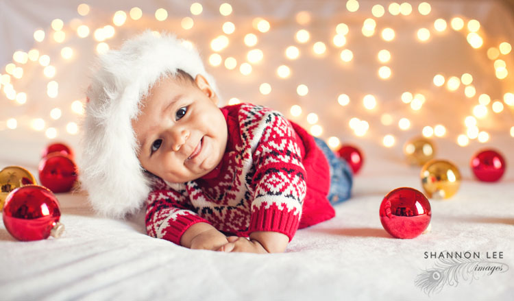 burbank holiday photographer