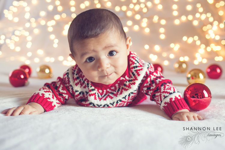 holiday family photography