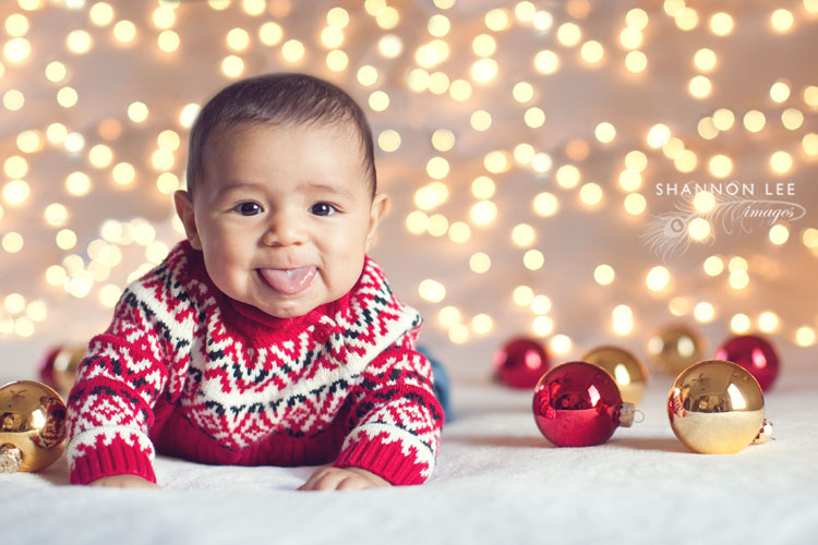 burbank holiday portrait photographer