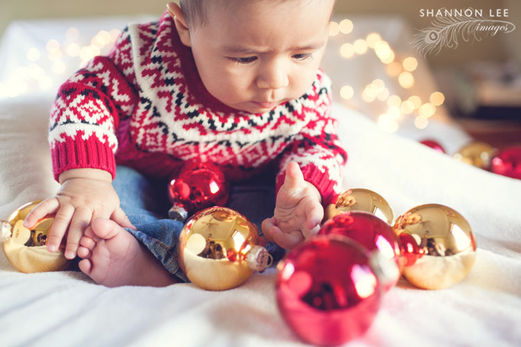 holiday portrait photographer burbank
