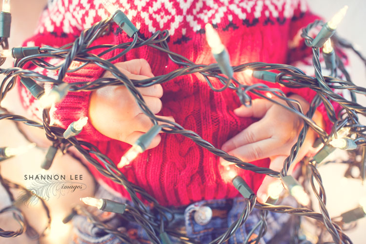 baby holiday photography