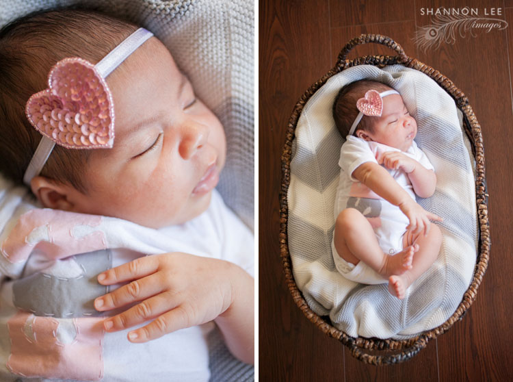 newborn photographer burbank