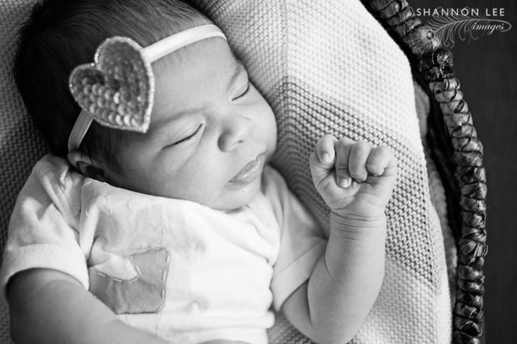 newborn photography burbank