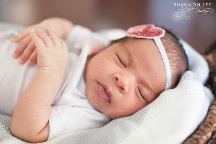 burbank newborn photography