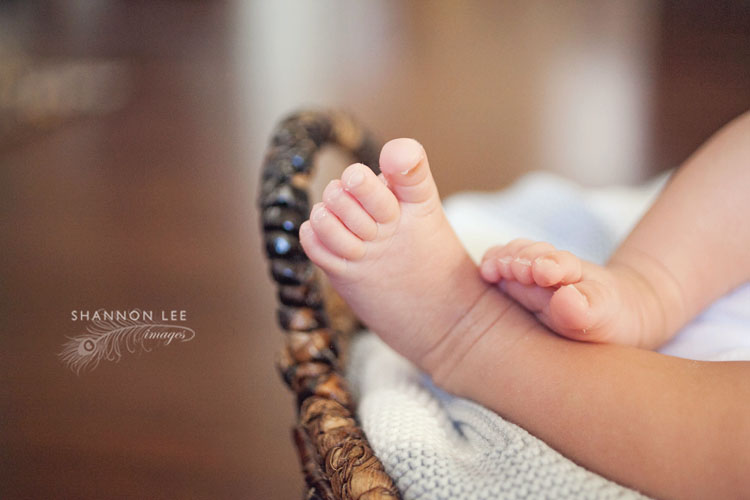 los angeles newborn photographer
