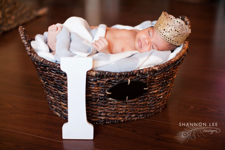 best newborn photographer los angeles