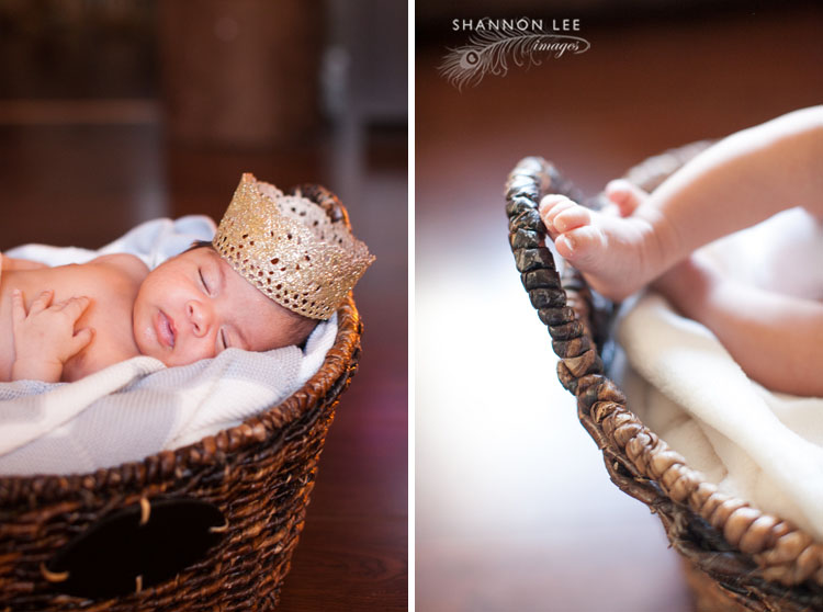 newborn photographer los angeles