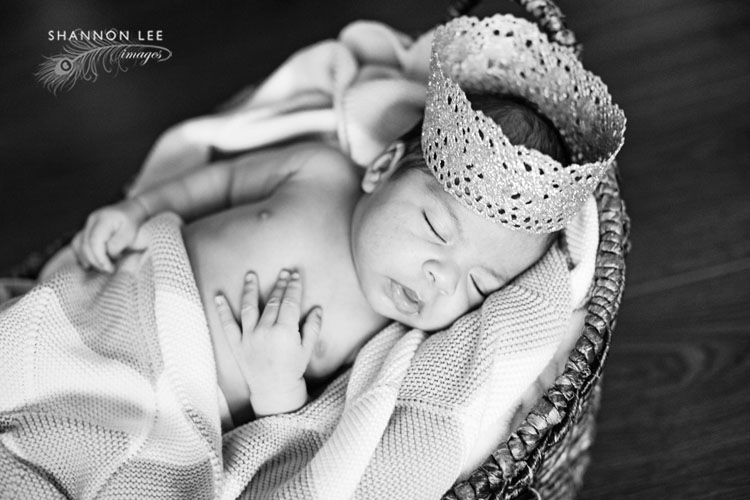 la newborn photography